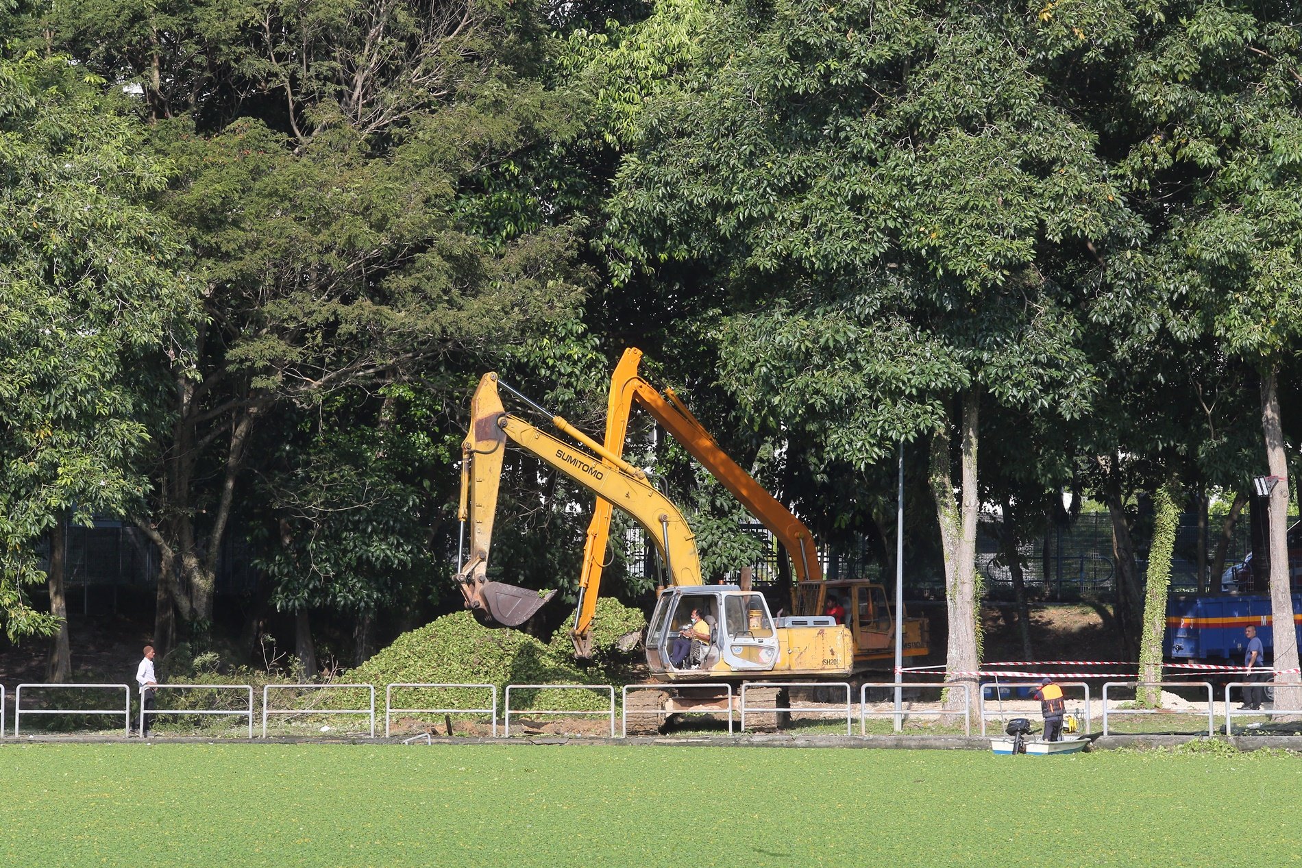 格拉那再也城市公园 逾半月清不完浮萍