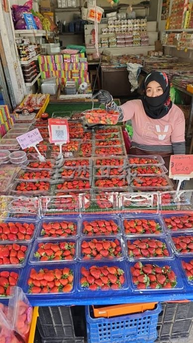 金马仑旅游淡季 斋戒月草莓大降价