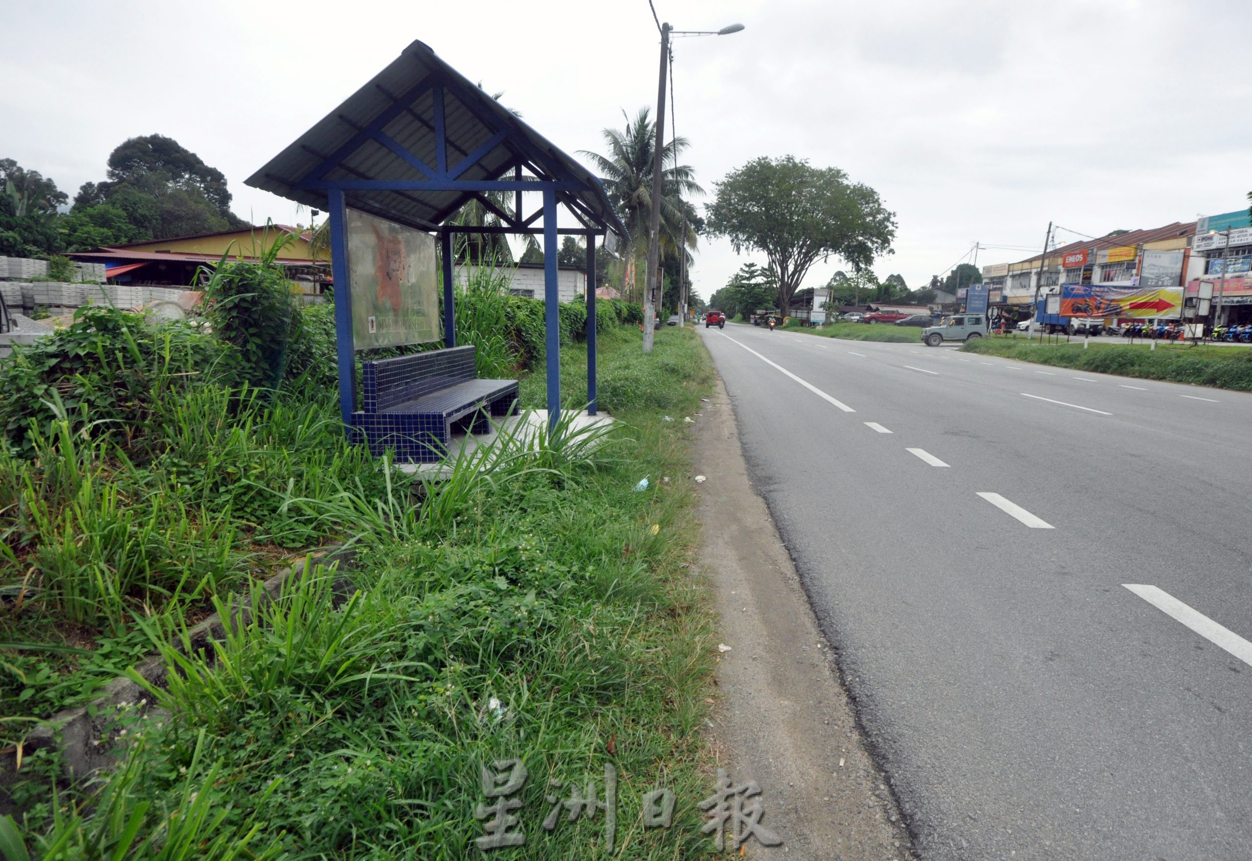 （今日出）NS芙蓉/芙市政廳首開先例，開放500個候車亭供私人界或非政府組織“領養”登廣告