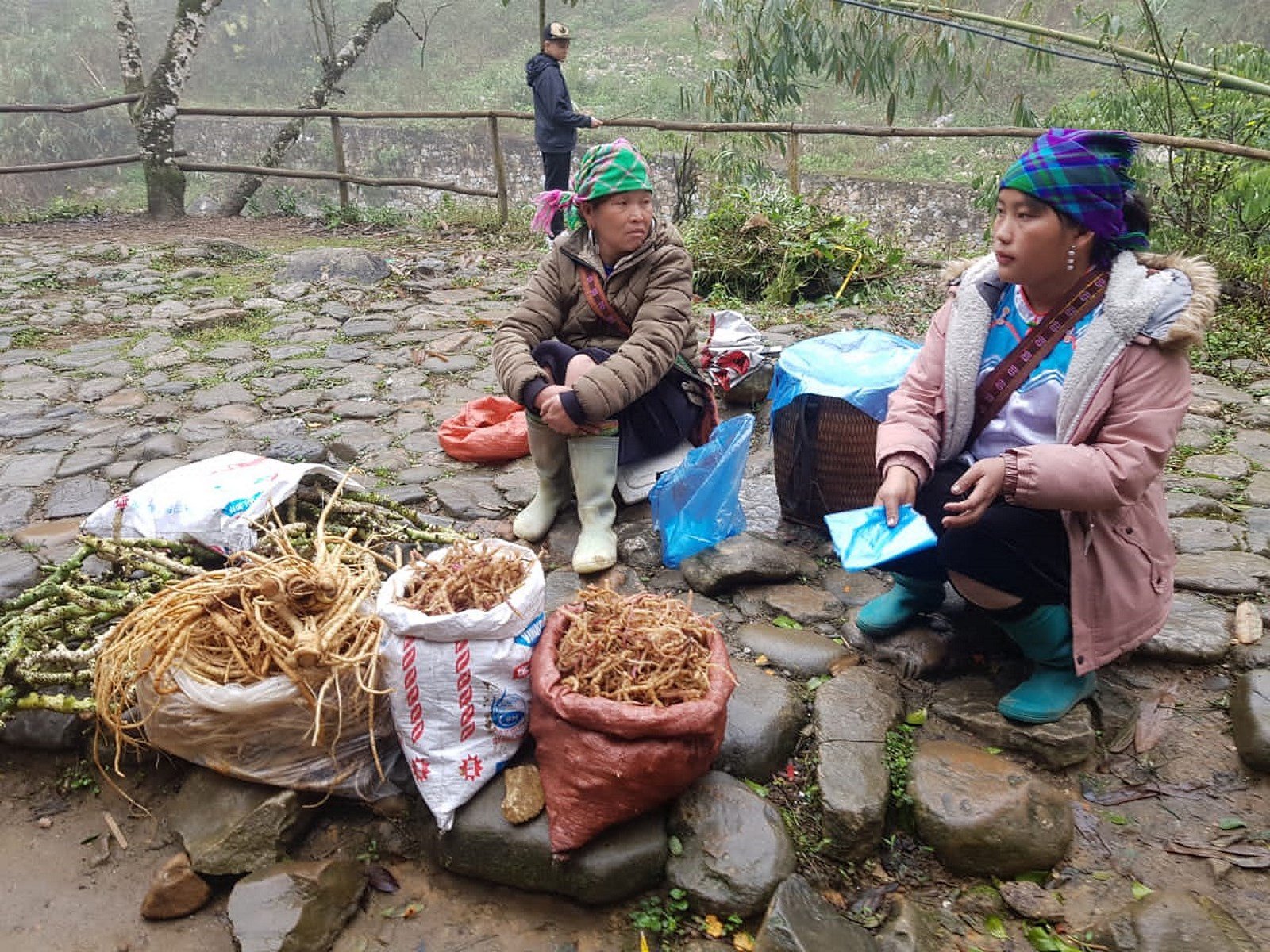 NS专题／越南成为最近马口人热门旅游景点