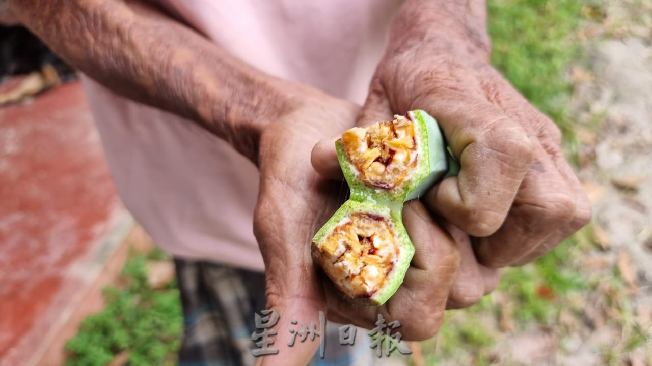 NS主文／独居老伯生活陷困，义工盼更多人援助