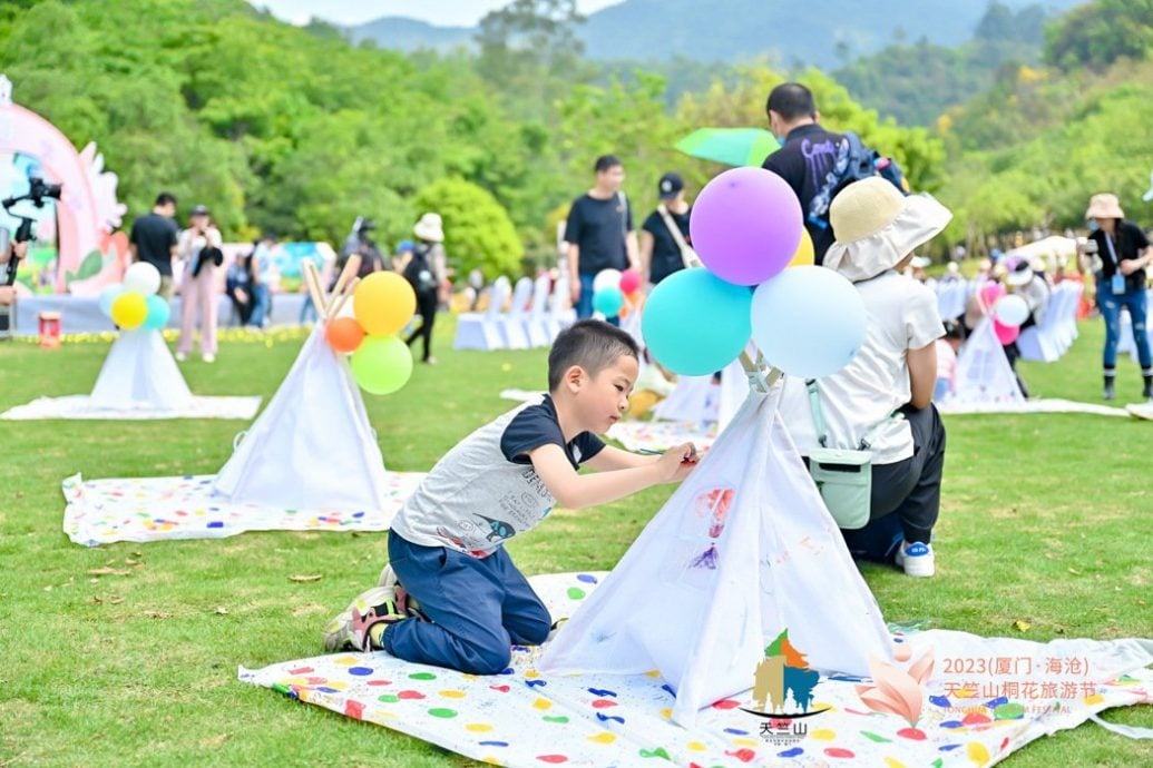 厦门天竺山桐花旅游节开幕　「四万株千年桐」争艳