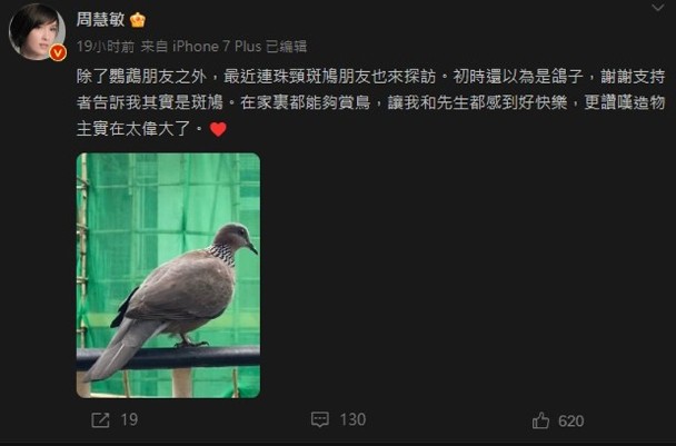 周慧敏被疯传离婚转移财产　亲回4字关键词揭真相