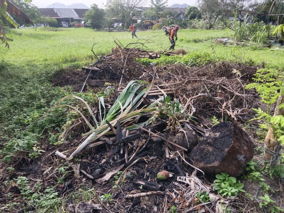 怡市长：清空侵占土地非法种植 不许在草场种农作物