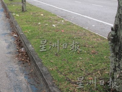 拉曼大学西湖悠闲区路旁美景，近日乏人打理下 路边满布枯树枝与垃圾