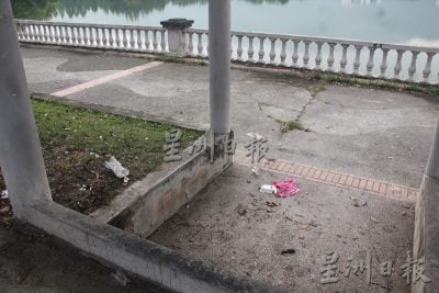 拉曼大学西湖悠闲区路旁美景，近日乏人打理下 路边满布枯树枝与垃圾