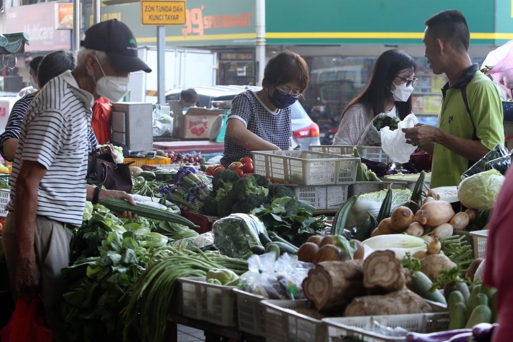 阳光足雨水多生产稳 收成好吃便宜菜 