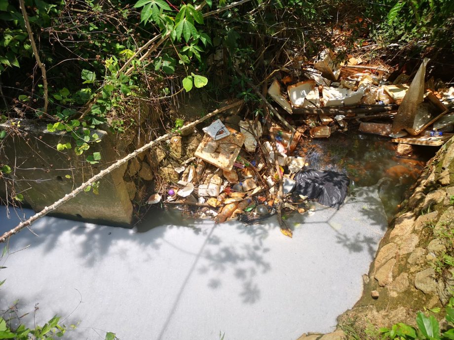 （古城第四版主文）双溪乌浪垃圾山偷偷将污水通过别人园坵排