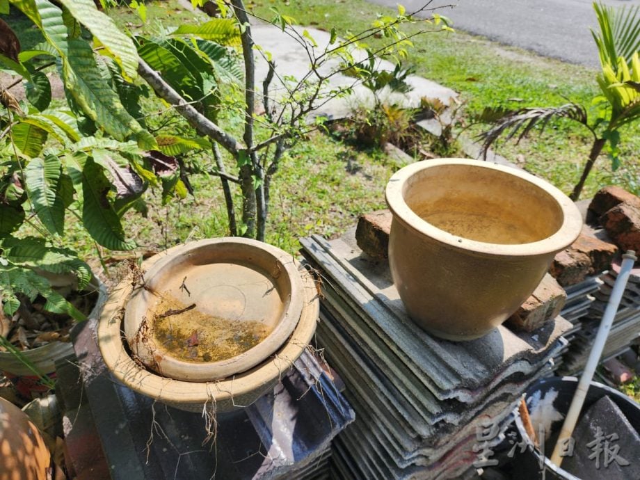 （古城第四版副文）花园草场成“小森林”，3次出现蛇居民担心