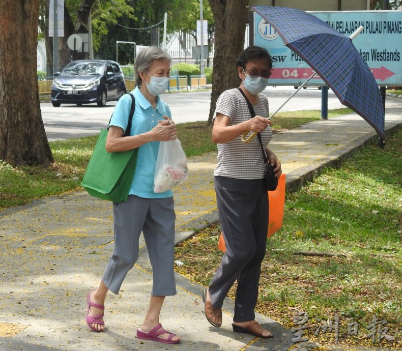 （大北馬）檳城開齋節長假迎來了“明日黃花”