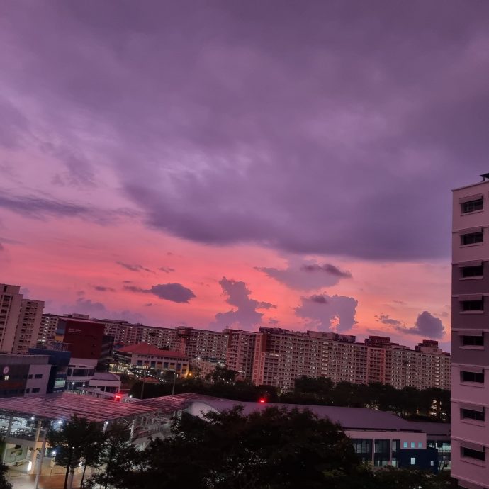 （已签发）柔：狮城二三事：出现粉红橙色紫色 新加坡天空现奇景