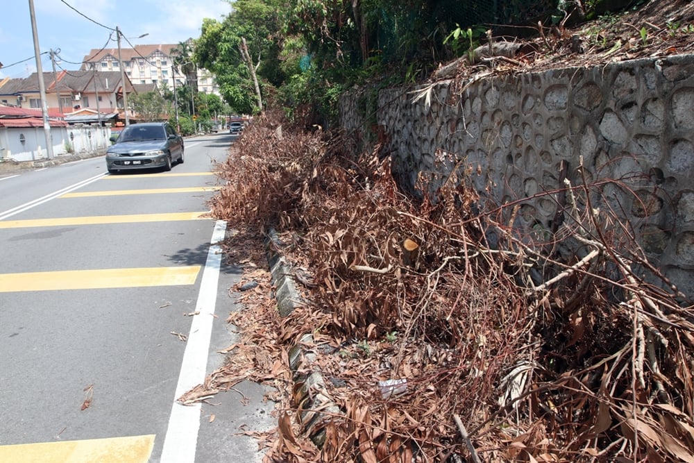 NS芙蓉/修剪树木工程留手尾，佳丽岭民宅区路肩堆满枯枝