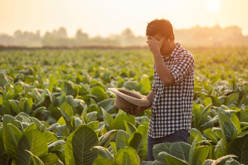 Fail, unsuccessful or very tired farmer concept. Asian farmer is