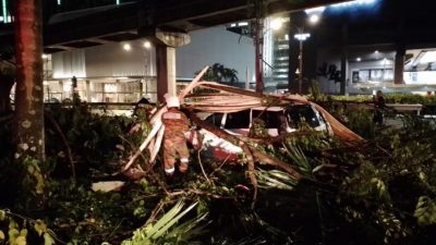 狂风暴雨袭隆市区  至少13轿车 5摩托车被倒树破坏