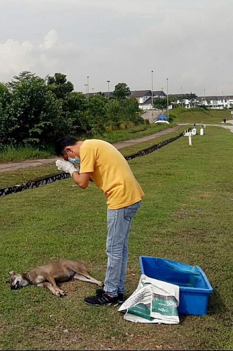 装修商发心处理路边动物尸：“希望大家开车慢一点”