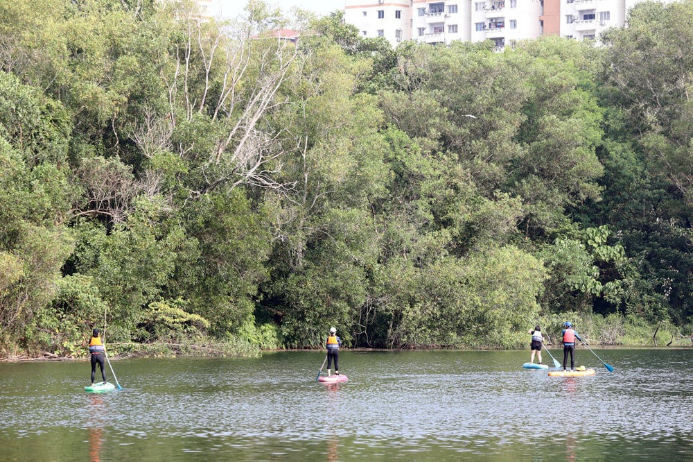 可以站着、躺着、跪着玩的立桨运动（SUP，Stand Up Paddle）