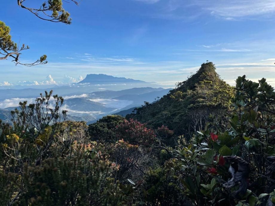 海拔2586公尺 星星山大马第三座高山