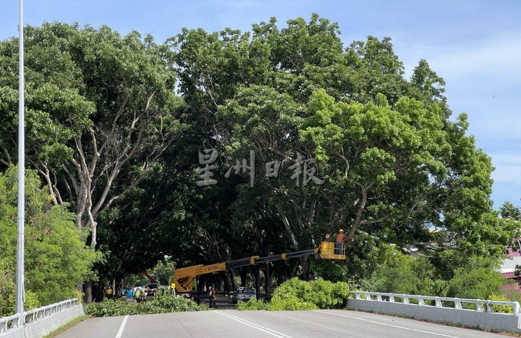 （古城封面主文）“三不管”地带终获关注，阴暗公路亮起来了！