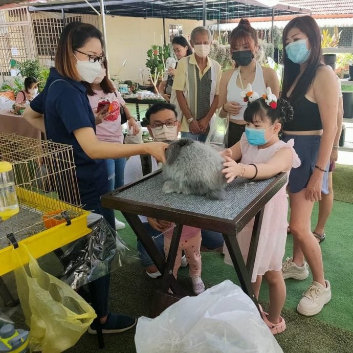 （大北马）小小企业家市集