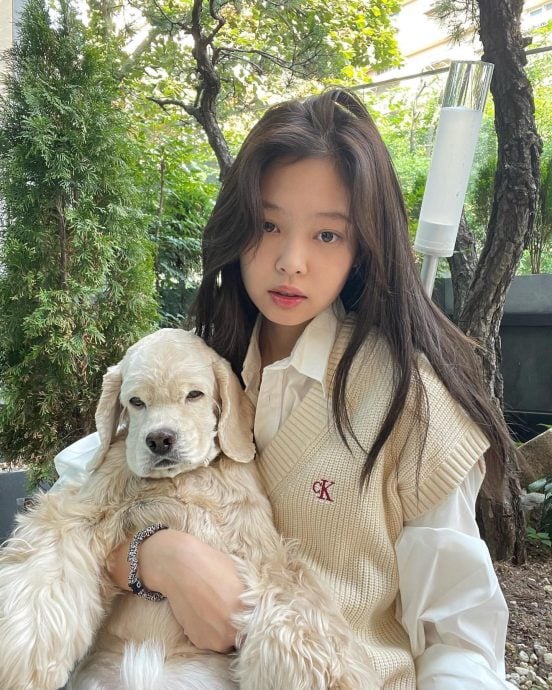 Jennie爱犬Kai离世  “跟妈妈对眼就忍不住哭”