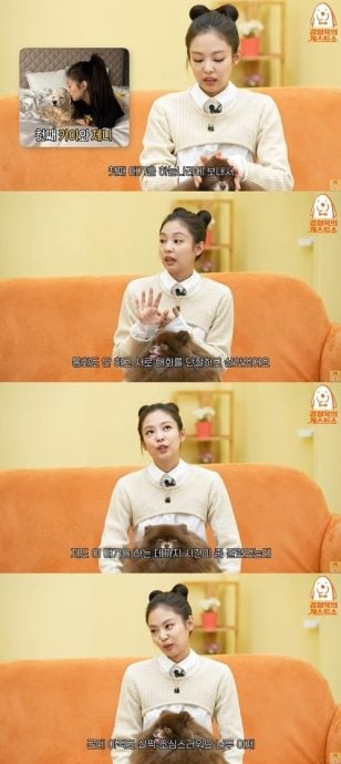 Jennie爱犬Kai离世  “跟妈妈对眼就忍不住哭”