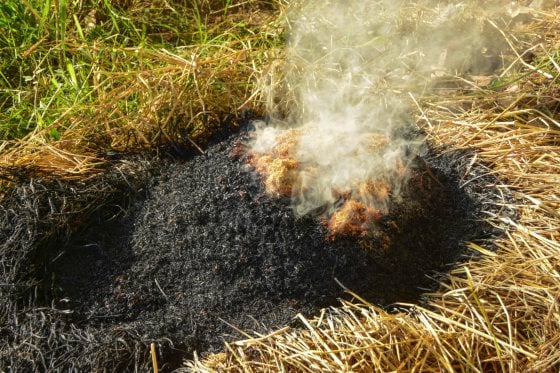 【研究故事】利用稻殼灰  減少混凝土生產中的二氧化碳排放