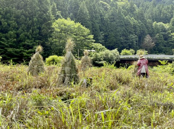 【日本】名顷：隐匿深山的日本人偶村