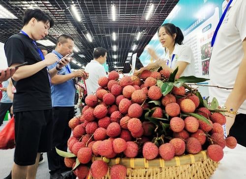 封面图与文   未签  “荔枝之乡”广西北流荔枝文化节  甜蜜荔枝任尝