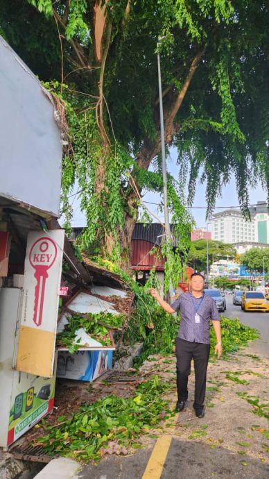 峇章三角路 树枝断裂砸店挡路