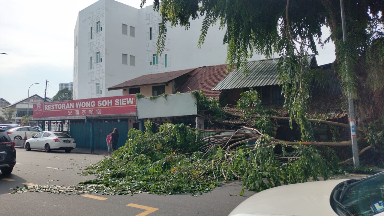 峇章三角路 树枝断裂砸店挡路