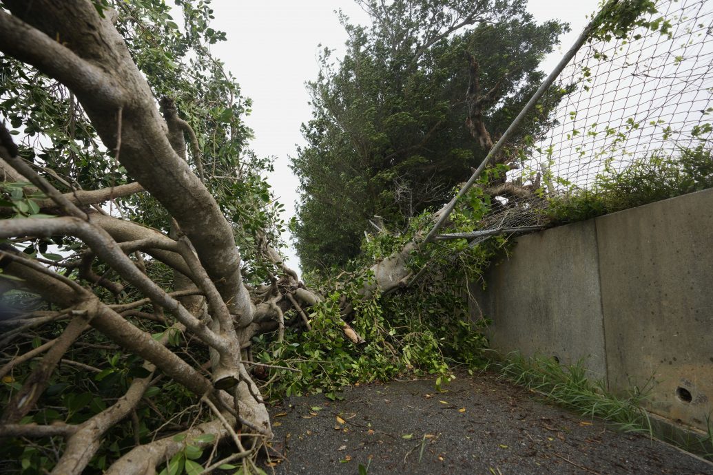 日本破纪录暴雨！交通大规模中断、旅客睡机场 多人死伤