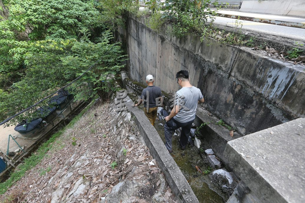  父用6年建“城市果园”疗丧子之痛  “这里每棵树都是思念的人” 