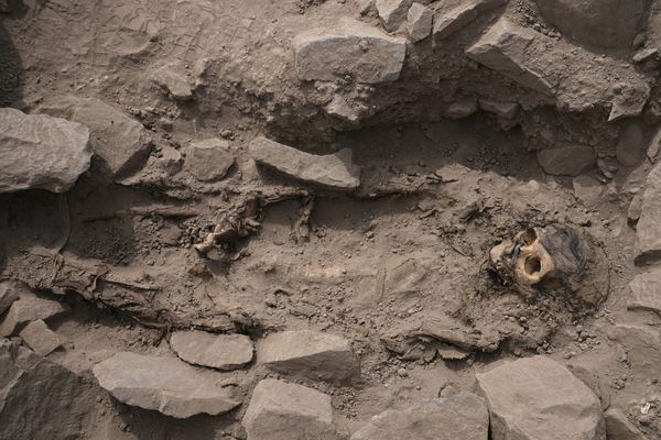 秘鲁垃圾场挖出3000年前木乃伊！　身体被绑“疑是活人献祭”