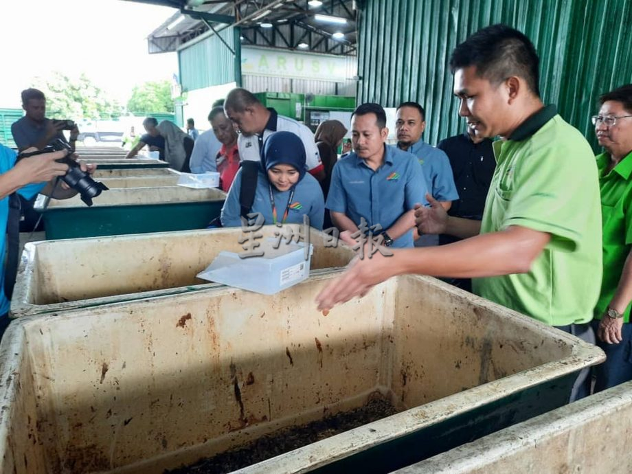 （古城封面主文）黑水虻處理廚餘，變化出有機飼料、肥料等