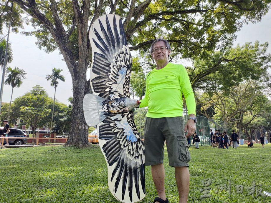 （大北馬）遙控飛機和盤鷹風箏