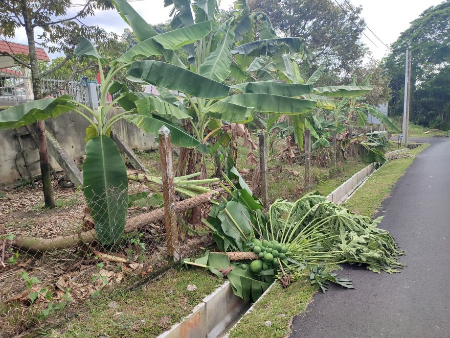 NS主文／葫芦顶新村风灾，14住家屋瓦被吹飞