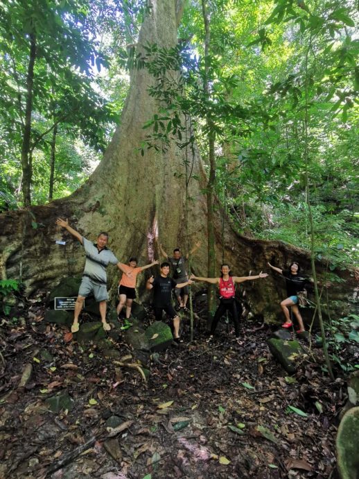 2024霹旅游年必游景点 皇家柏隆森林美不胜收