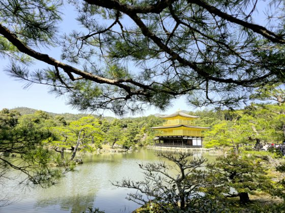 【日本】步步京心──东京京都赏樱之旅