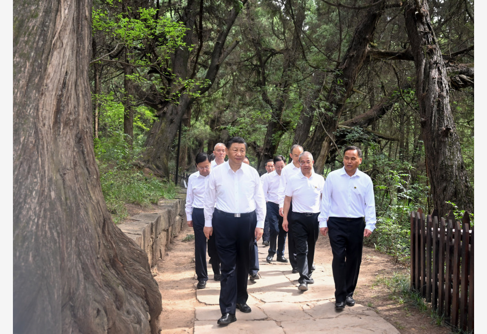 习近平在四川考察古蜀道三星堆