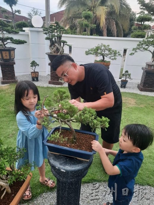 柔：今日面谱（7月20日刊）：摆弄盆景，郑富威享受平静、疗愈的过程