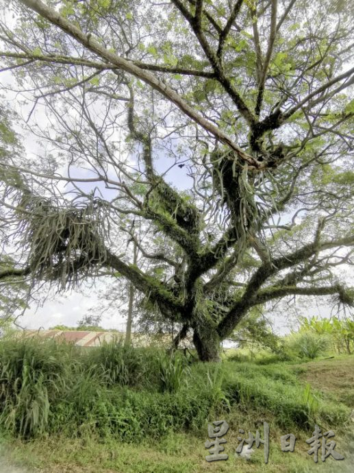 【休闲农场／03】大马休闲农场，如何突破困境，走出自己的特色？