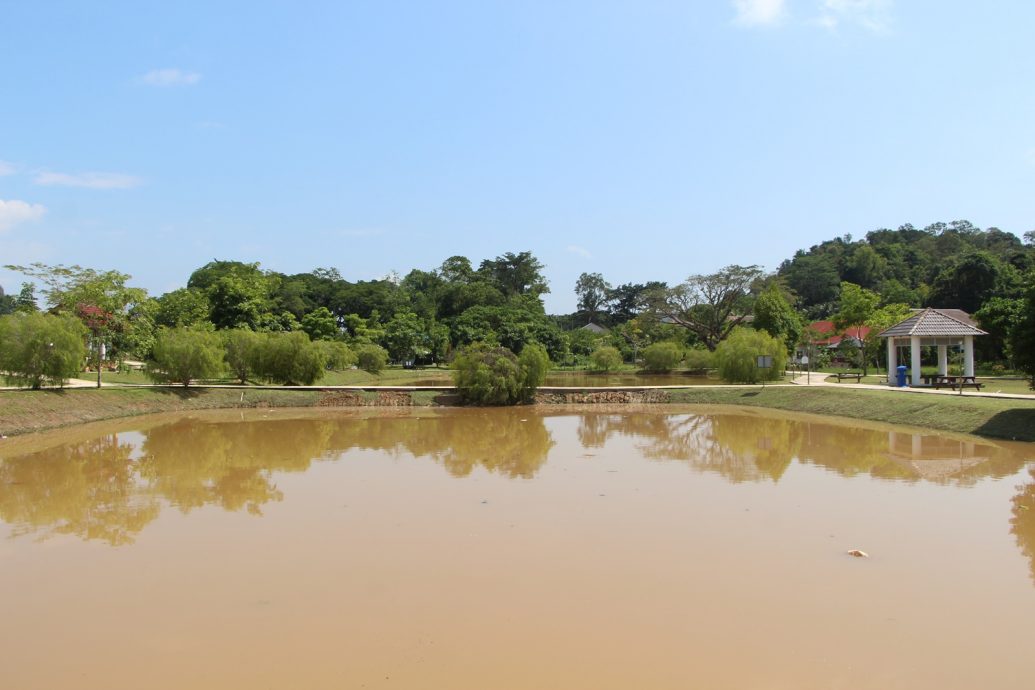 东2：劳勿城市公园莲花池油渍清理工作虽已完成，疑商业区油渍仍流入池中