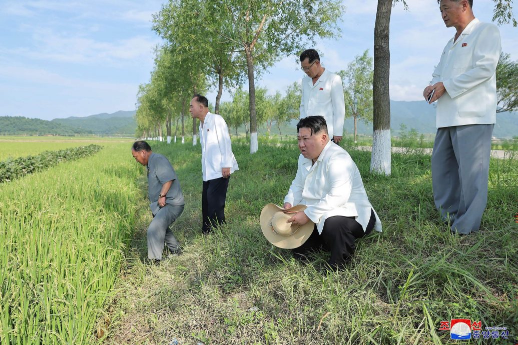 外媒：大量国民饿死 金正恩亲赴农场视察灾情