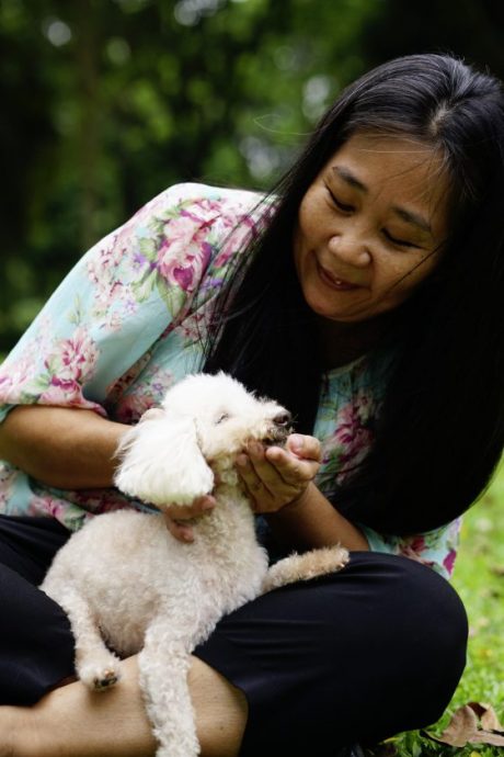 我和老狗的故事-Titi：可爱笑容疗愈人心
