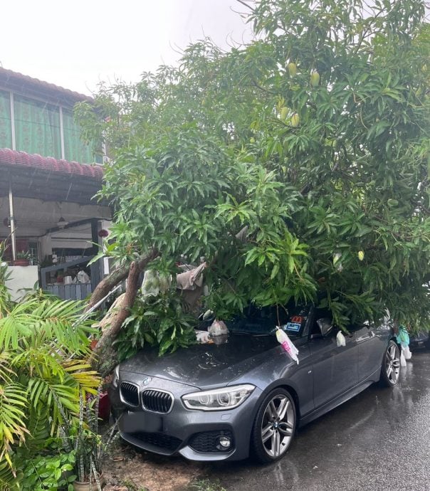 暴风雨袭怡保 吹倒国庆庆典看台帐棚 多地倒树