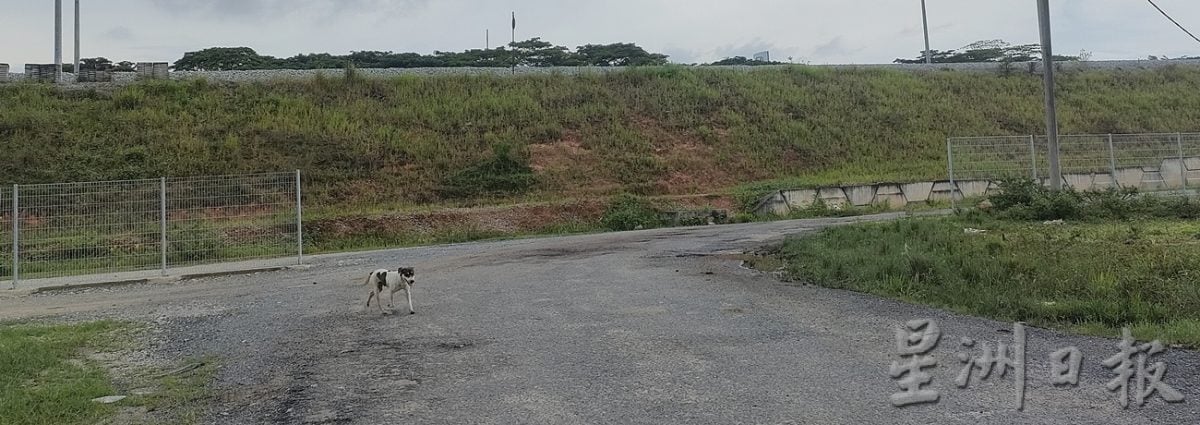 柔：黄勃扬：将加速推动长春工业区拓正规道路计划