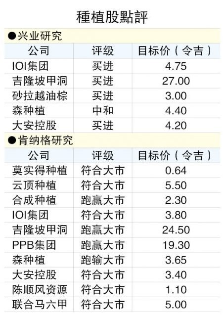 棕油產量價格齊跌·次季業績料遜色  種植公司下半年扭轉乾坤