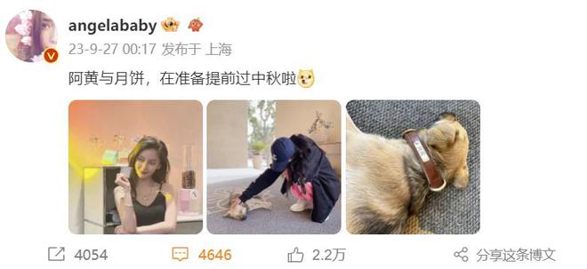  Angelababy晒母子合影贺中秋 与狗狗阿黄同框引热议