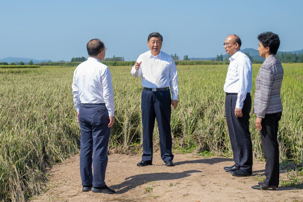 习近平访黑龙江 视察洪灾后重建进展