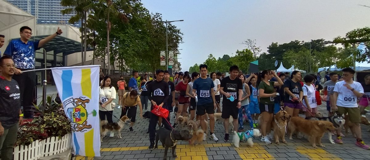 宠主与爱犬齐跑活动